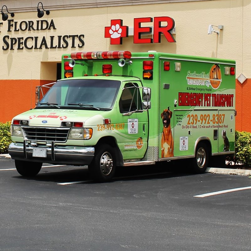 Ambulance, Bonita Springs Veterinarian