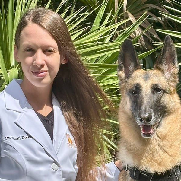 Dr. Abigail DeRouen, Bonita Springs Veterinary Cardiologist