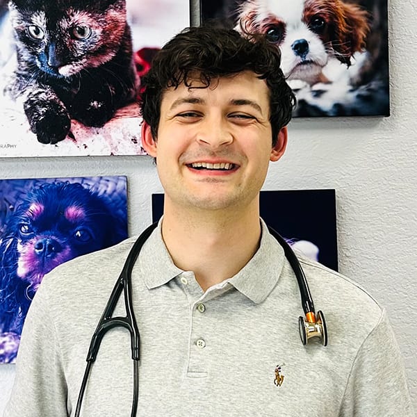 Dr. Kyle Cacciatore, Bonita Springs Veterinary Cardiologist