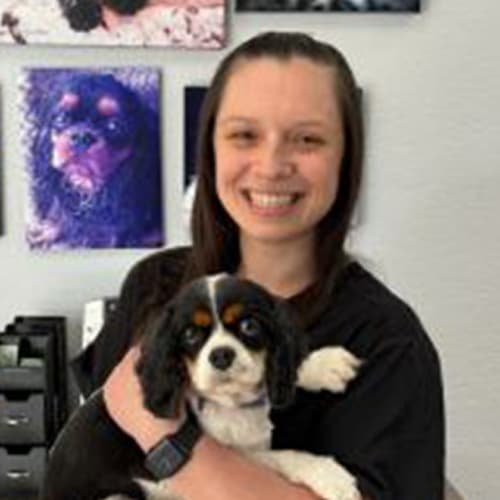 Dr. Nicolette Margiotta Bonita Springs Veterinary Cardiologist