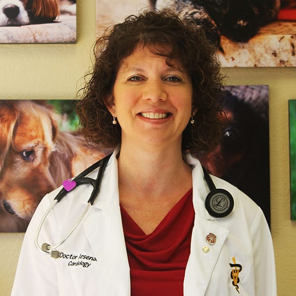 Dr. Wendy Arsenault, Bonita Springs Veterinary Cardiologist